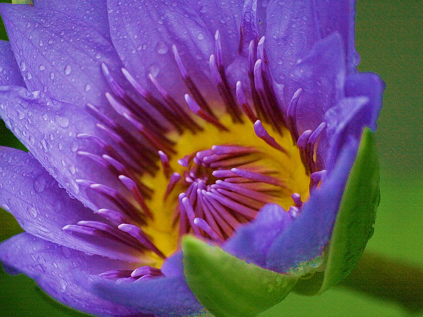 http://i.dcview.tw/gallery/201106/ab08b81e50b6ff1d738f471cfc18eea2.jpg