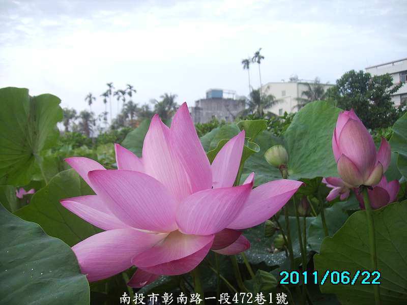 http://i.dcview.tw/gallery/201106/abbcd806629ab1a8c5a859e4d5ede9ef.jpg