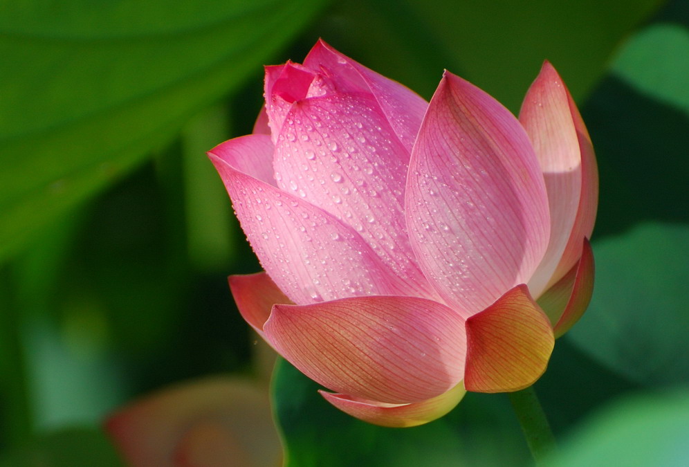 http://i.dcview.tw/gallery/201106/ad4606fbf36c6a6368ce7bc1cf28f973.jpg