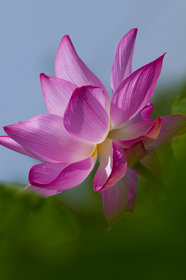 http://i.dcview.tw/gallery/201106/ade3c8eeac65bb91834a405ffacbd41c.jpg