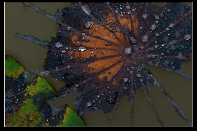 http://i.dcview.tw/gallery/201106/ae5f2856598fd7b77e2fcdf55dc4ff04.jpg
