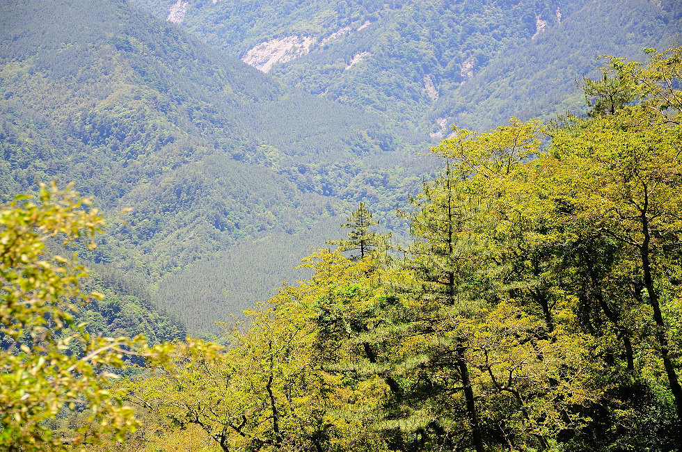 http://i.dcview.tw/gallery/201106/af8b0b974295b958f4badebeb6cfa181.jpg