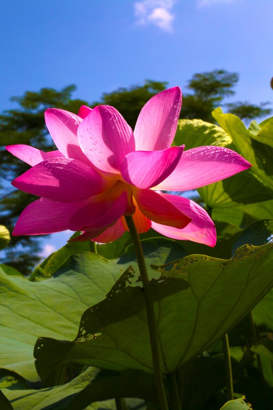 http://i.dcview.tw/gallery/201106/b15d341c88d4e7a8ad86cd008b048d0a.jpg