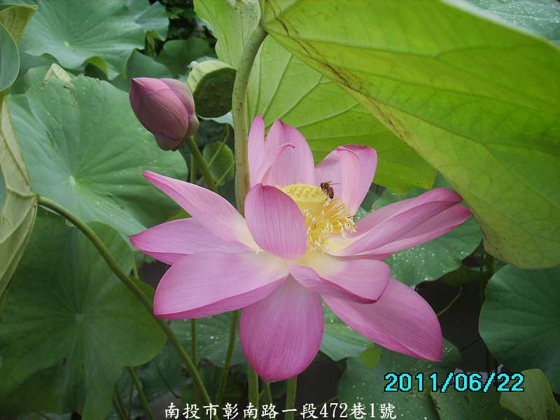http://i.dcview.tw/gallery/201106/b272a3274a04c1be8151bf7869956895.jpg