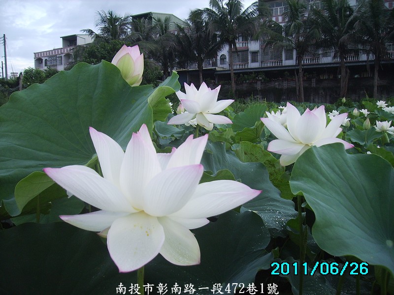 http://i.dcview.tw/gallery/201106/b29a6576dcb40b2155c65fe5a33dc061.jpg