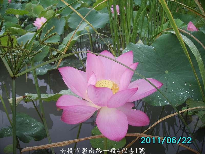 http://i.dcview.tw/gallery/201106/b3c99b3797b9f2252360c6cc6dcc87b2.jpg
