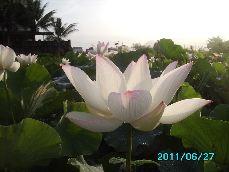 http://i.dcview.tw/gallery/201106/bb0200bc65b365bc2a51ed64c2318f90.jpg