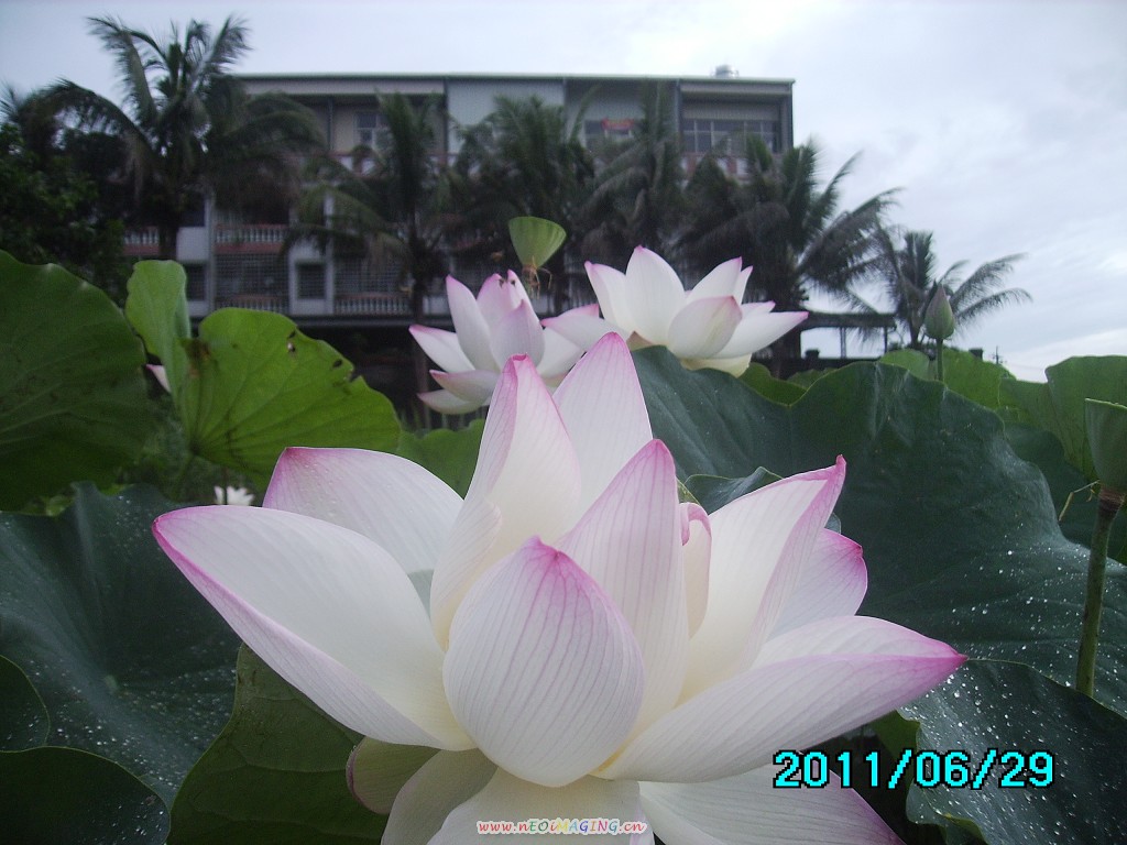 http://i.dcview.tw/gallery/201106/bc8439ae140b664f5cc2befe4bf35d9d.jpg