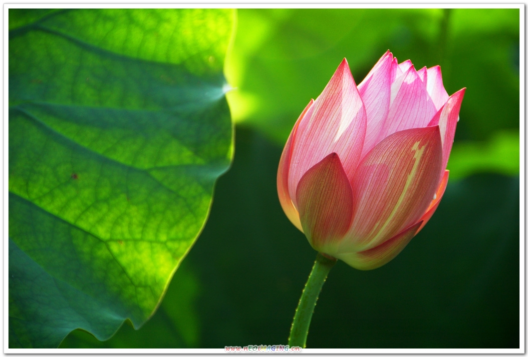 http://i.dcview.tw/gallery/201106/bfb6cb76f21daf89e0b05152f58c07f6.jpg