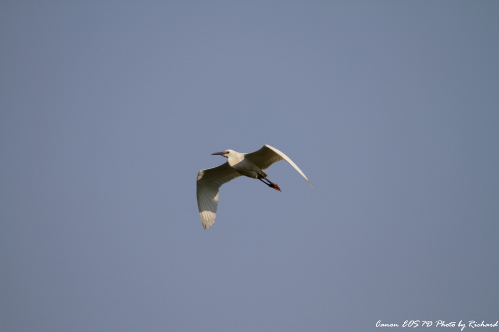 http://i.dcview.tw/gallery/201106/c03d2dadf0431279b047799f99c4a690.jpg