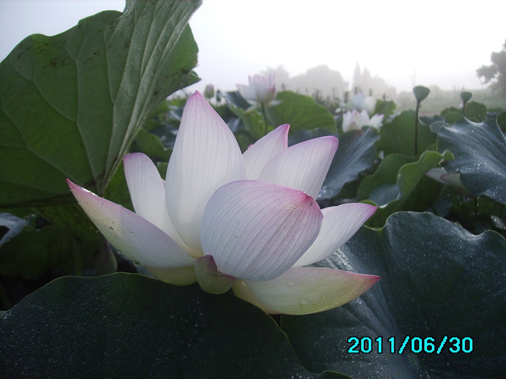 http://i.dcview.tw/gallery/201106/c2ba7d9b6dfe9a9b6f6d12024ee6453e.jpg