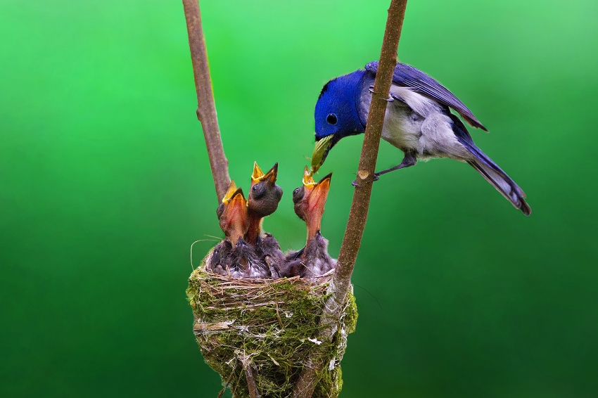 http://i.dcview.tw/gallery/201106/cbe0797a7d4056d3d454bd70c6857a82.jpg