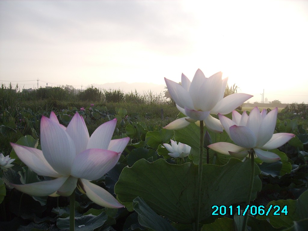 http://i.dcview.tw/gallery/201106/cd620ffc2b11395680b017670fb927c2.jpg