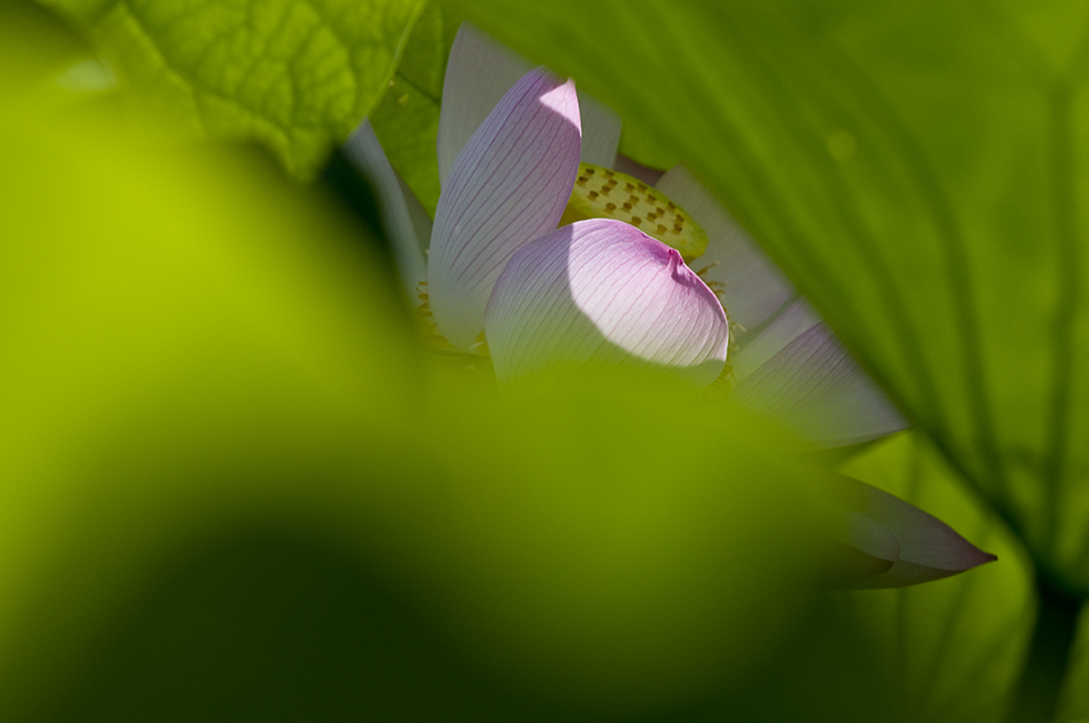 http://i.dcview.tw/gallery/201106/d09e8ff4cfa174abde6735edf9ea8579.jpg