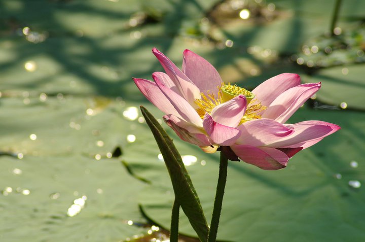 http://i.dcview.tw/gallery/201106/d2ec42b0c65ca154e274d53083930148.jpg
