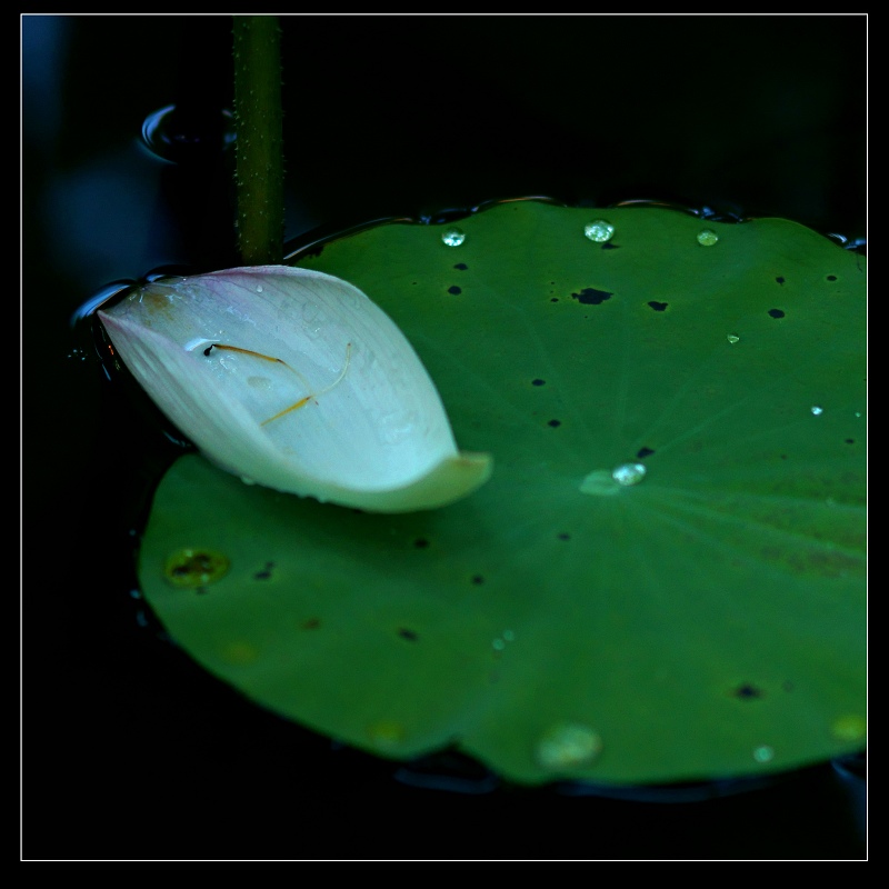 http://i.dcview.tw/gallery/201106/d2ef7bcdb2bc238f319107eab4c37294.jpg