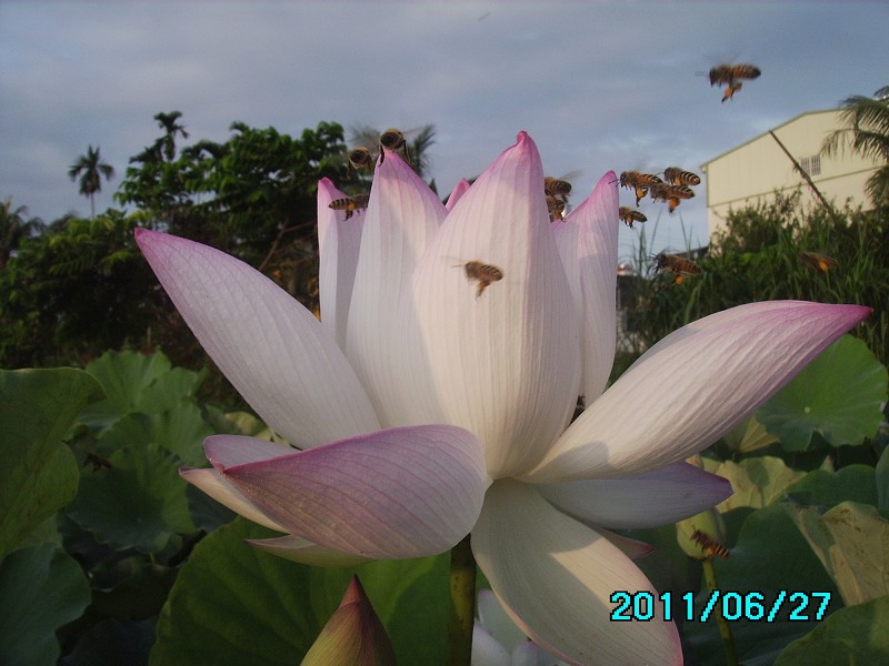 http://i.dcview.tw/gallery/201106/d31b6a2c827b27c427037498b29cd536.jpg