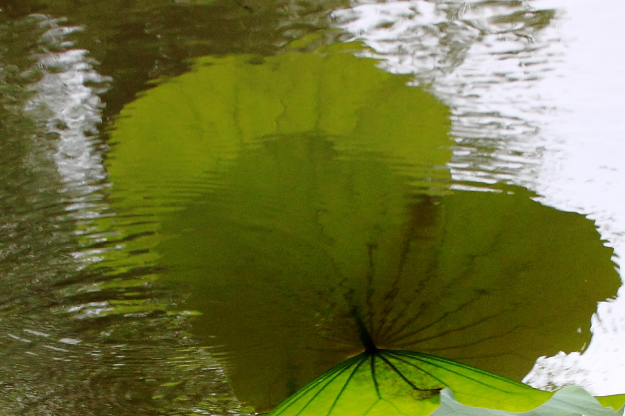 http://i.dcview.tw/gallery/201106/d6538654e905b9eefe93949589dfa39b.jpg