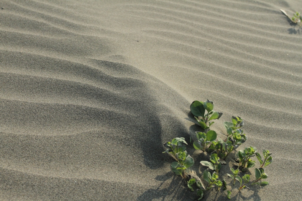 http://i.dcview.tw/gallery/201106/d7dcb63f7988f7cb73fc75ac03a9acc7.jpg