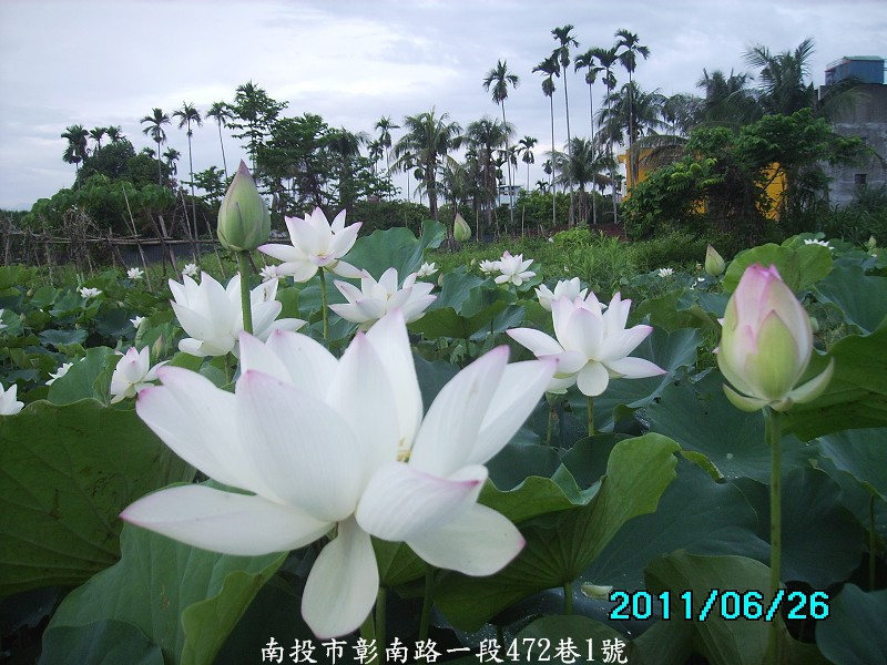 http://i.dcview.tw/gallery/201106/d884ce3e9204f6d1e5d14def5932288f.jpg