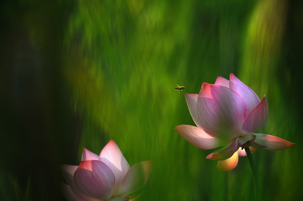 http://i.dcview.tw/gallery/201106/db324ebdef01c1bc03a9a5f235ac3033.jpg