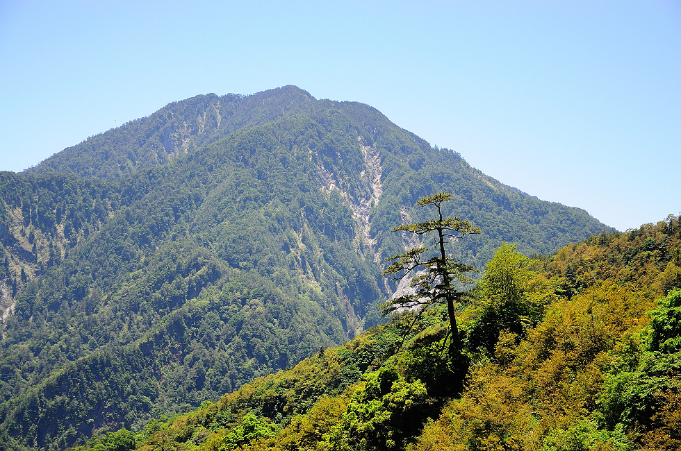 http://i.dcview.tw/gallery/201106/dbb010f6a650e1cc0353f4db0ee59b72.jpg