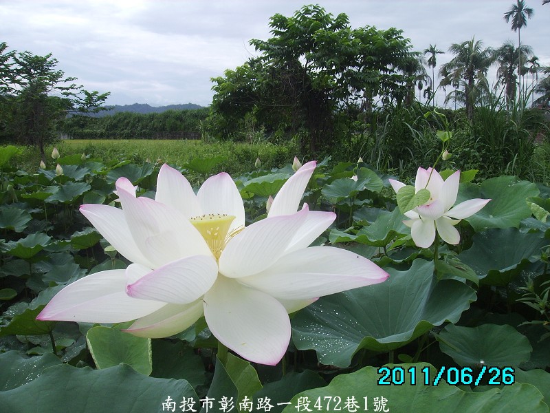 http://i.dcview.tw/gallery/201106/dc49ccf00b6790e45ecdb96c8f9f0555.jpg