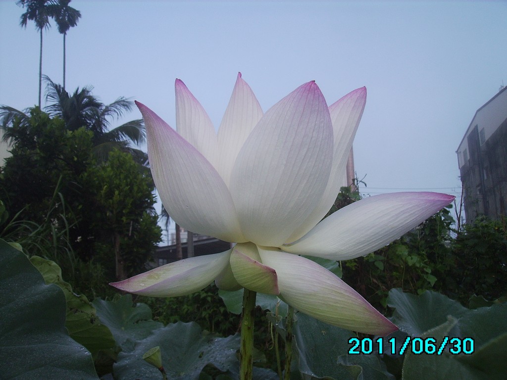http://i.dcview.tw/gallery/201106/dcd720d44cd629071e979336336f86b1.jpg