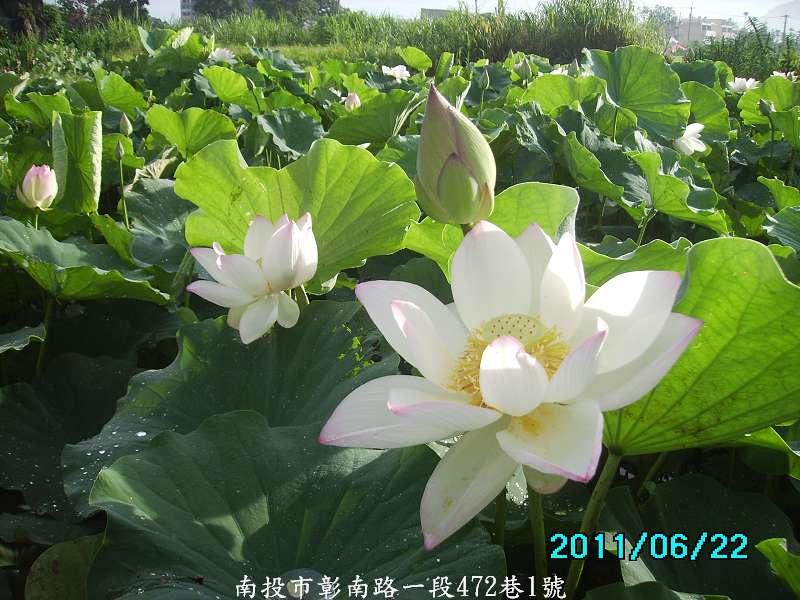http://i.dcview.tw/gallery/201106/dd546bc4c18962c237e872705e7c64ee.jpg