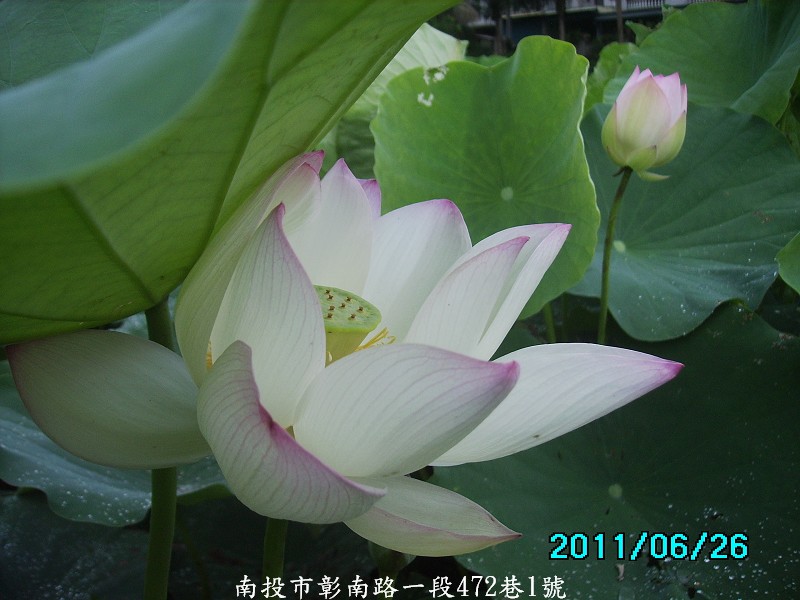 http://i.dcview.tw/gallery/201106/e82aa1f8038673c7f350931a7b0507be.jpg