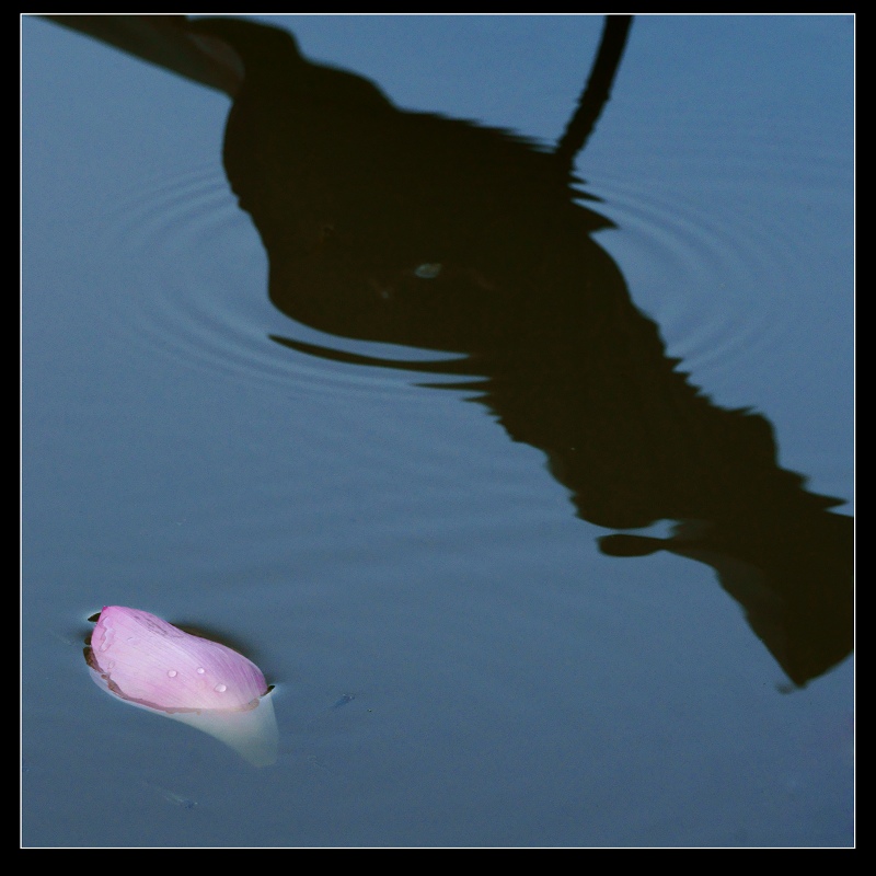 http://i.dcview.tw/gallery/201106/ea2f2a98415e8cb56bf14d9520c76a0a.jpg