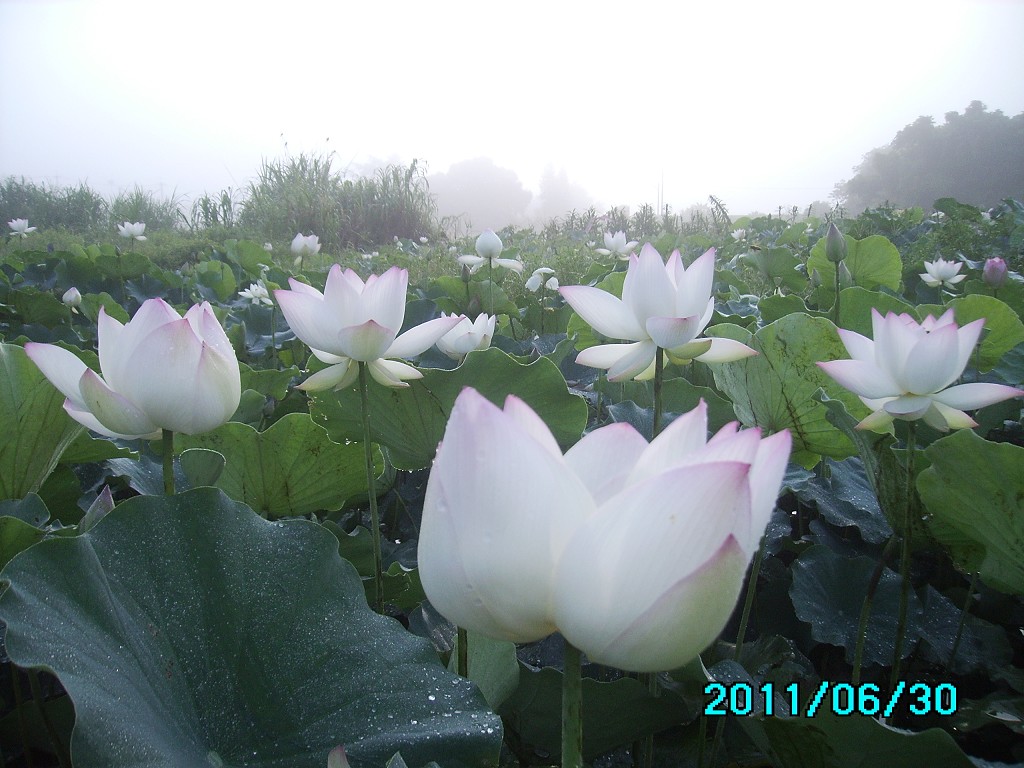 http://i.dcview.tw/gallery/201106/eaa40a38f3ef72855eac87258ee4ea3b.jpg