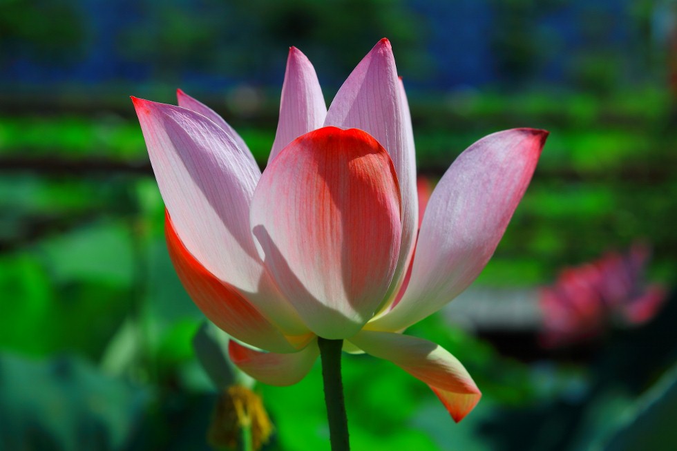 http://i.dcview.tw/gallery/201106/eaa5c1c5c4d4c2f14d854e3d252684e9.jpg