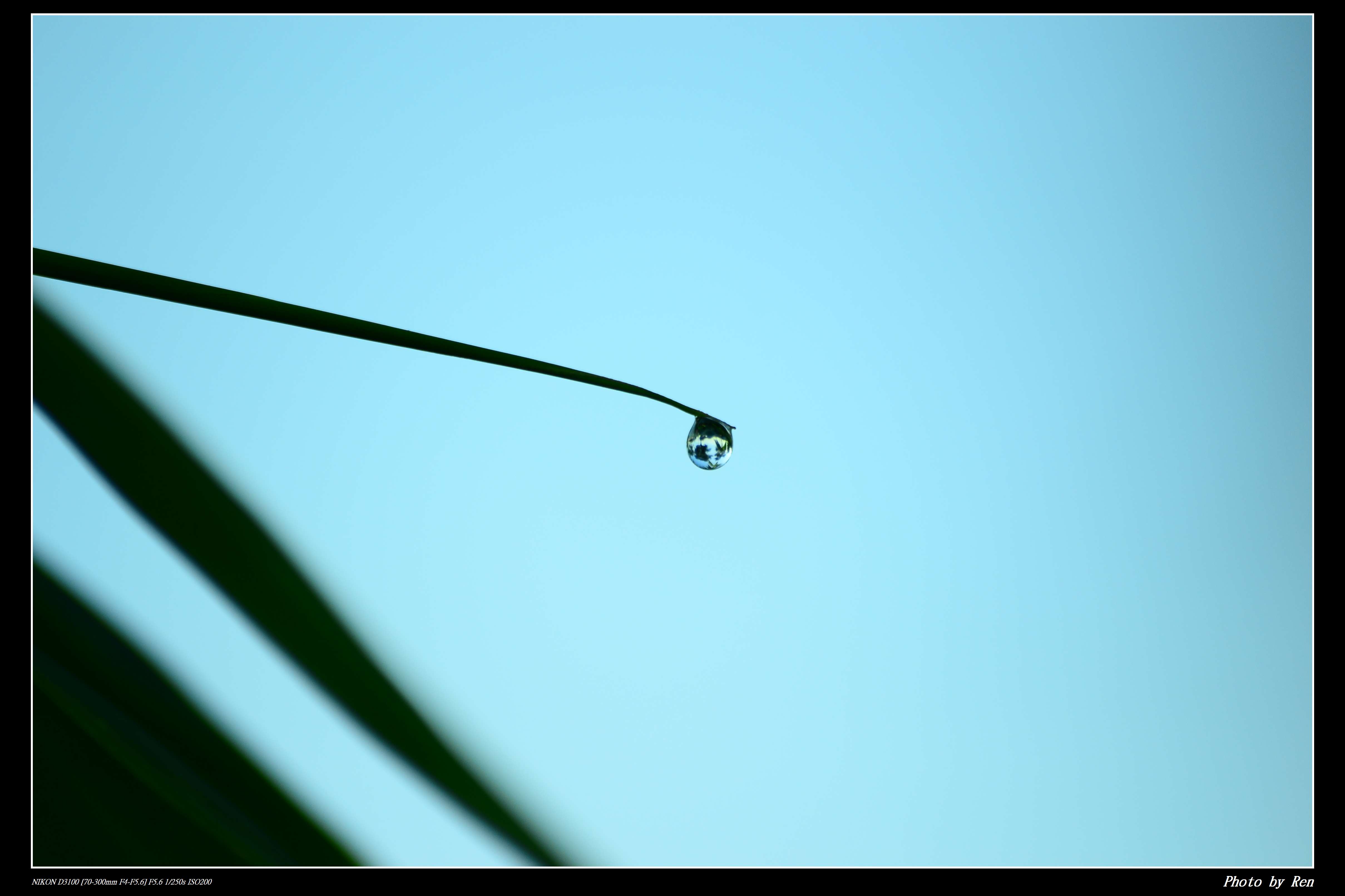 http://i.dcview.tw/gallery/201106/f0ffbdd15ff2002698b01eec40433ecf.jpg