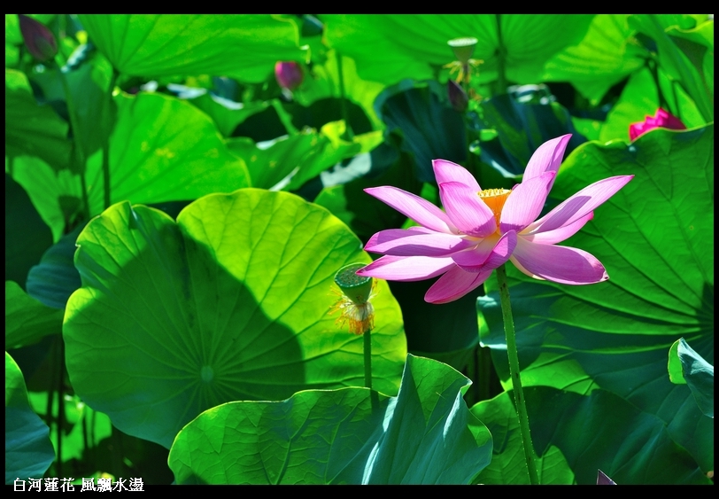 http://i.dcview.tw/gallery/201106/f19a00ddbf938518d0a7a04729555263.jpg