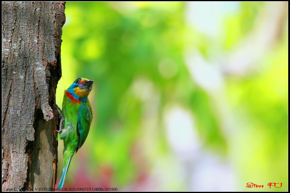 http://i.dcview.tw/gallery/201106/f4766de65946a5c384f89fd334c43ead.jpg