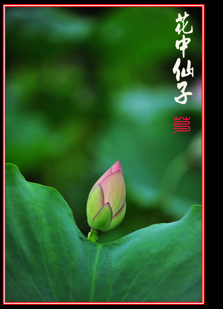 http://i.dcview.tw/gallery/201106/f6290fb0eddc912e0a36d266ffdd7912.jpg