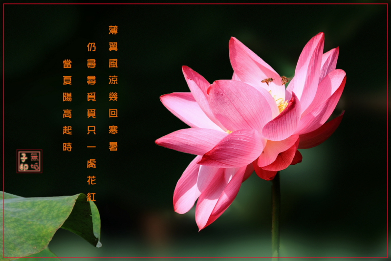 http://i.dcview.tw/gallery/201106/f7e66222263e776682e46276f33b5503.jpg