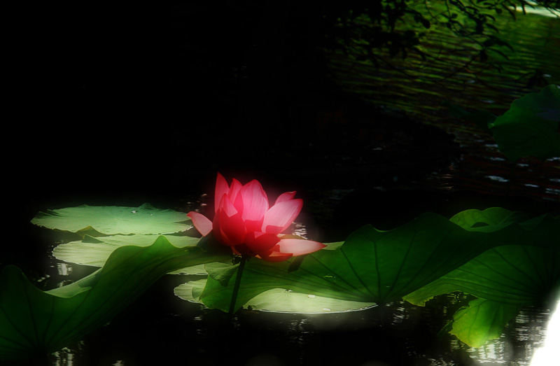 http://i.dcview.tw/gallery/201106/f8e71fb262032e7c9c96ebc9957ea809.jpg