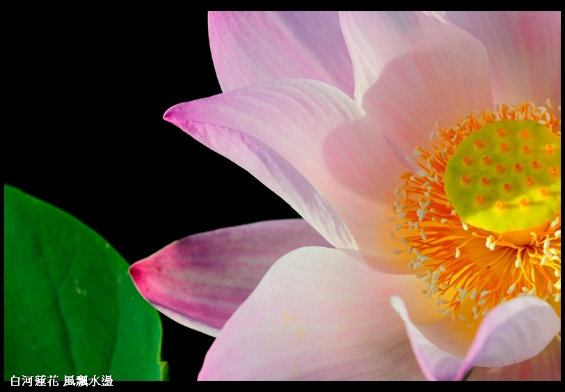 http://i.dcview.tw/gallery/201106/f92a06274610caac1b99aada5323d8b4.jpg