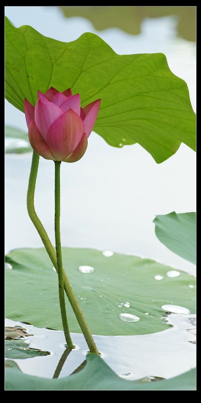 http://i.dcview.tw/gallery/201106/f93b808a9b2041ae4e327e6f66aa2c45.jpg