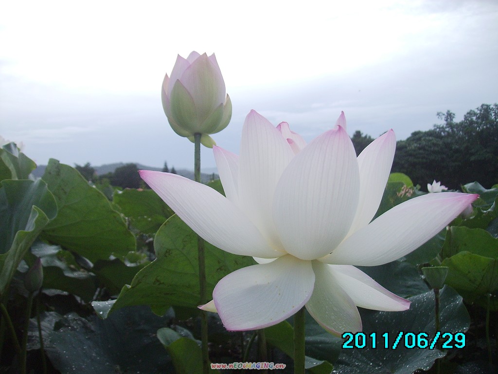 http://i.dcview.tw/gallery/201106/fcaa52e55acc3369410c6b9d99da77c2.jpg