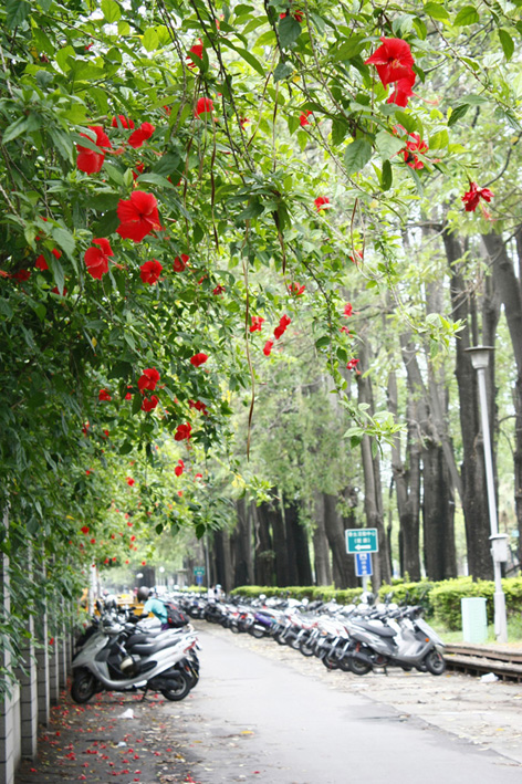 http://i.dcview.tw/gallery/201106/fe8c979659cdfb6a157282c5c36932ca.jpg