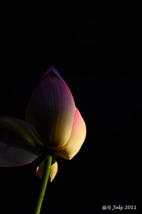 http://i.dcview.tw/gallery/201107/020727f6b48d631b0422eb8ffc5b0f49.jpg