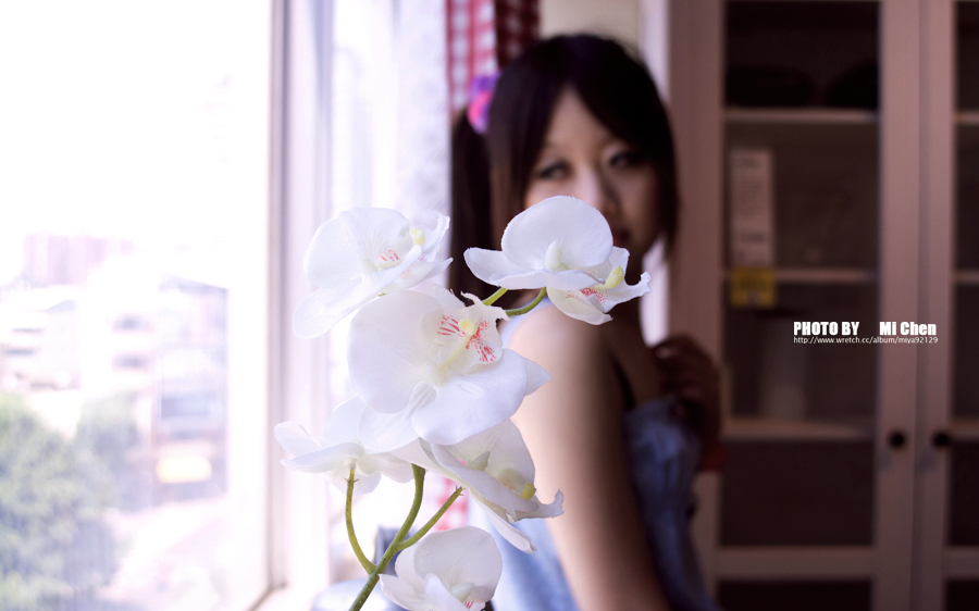 http://i.dcview.tw/gallery/201107/038dcf93d23060088f9b89c22179f311.jpg