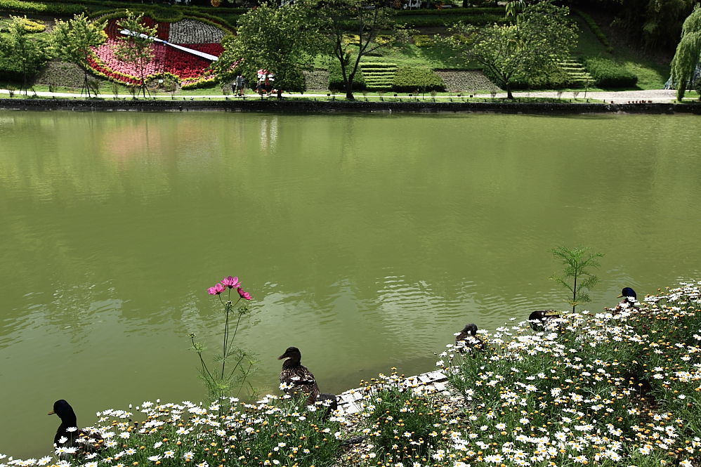 http://i.dcview.tw/gallery/201107/0d1fa206bc32dd4af95ed0940fa1a600.jpg