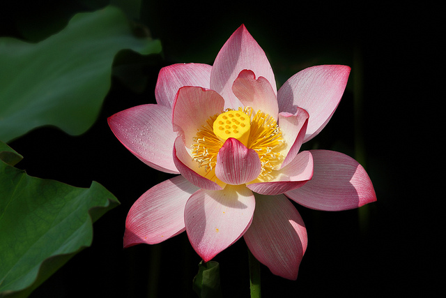 http://i.dcview.tw/gallery/201107/0ec563a80c1f2cc80bb2dd96935b6fb0.jpg