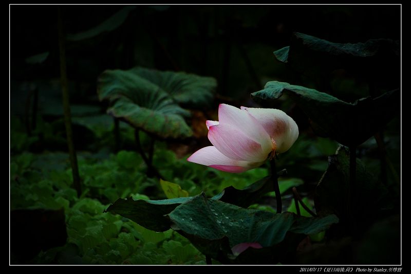 http://i.dcview.tw/gallery/201107/0f054c1c6b0d237e3b70c185634e20b9.jpg