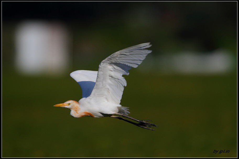 http://i.dcview.tw/gallery/201107/14d20095a099782bbe2e6baea958a1db.jpg