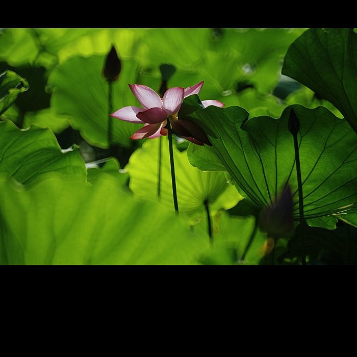 http://i.dcview.tw/gallery/201107/14fb616d585a6220151d3b56e3ad20d9.jpg